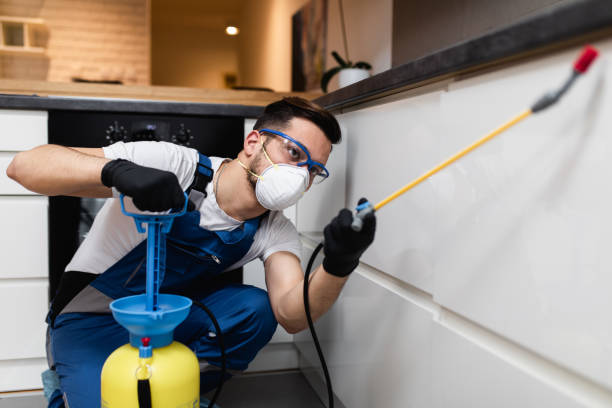 Best Ant Control Services  in San Francisco, CA
