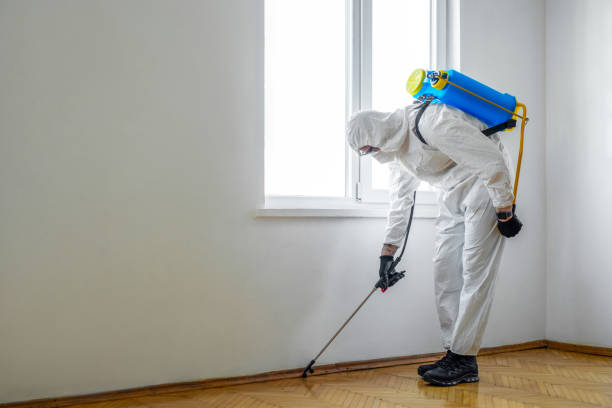 Wildlife Control Services in San Francisco, CA