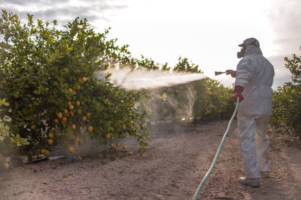Best Mosquito Control Services  in San Francisco, CA