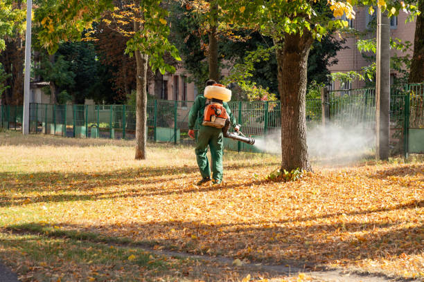 Best Affordable Pest Control Services  in San Francisco, CA
