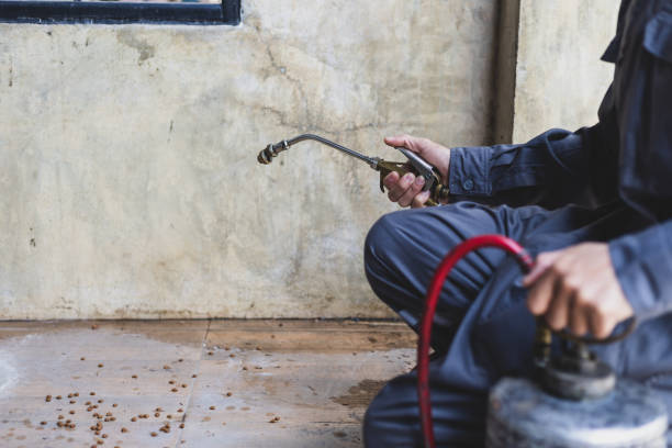 Best Local Pest Control Services  in San Francisco, CA